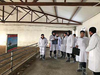 微信图片_20181218113255.png