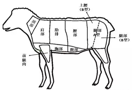 1545113945368473.jpg 20171209164189058905.jpg