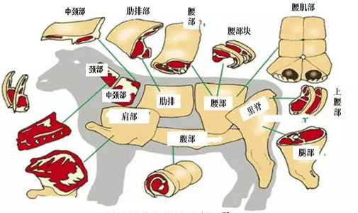 1545114051390698.jpg 20171209164815121512.jpg