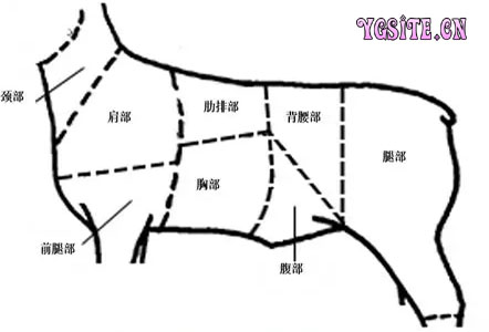 1545114294184310.jpg 20171209165073677367.jpg