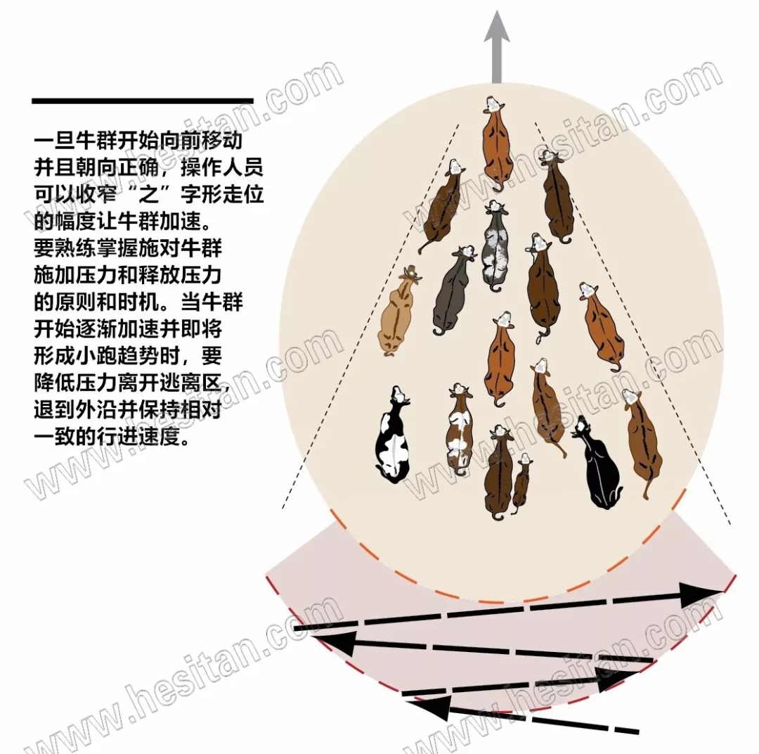 640.webp (6).jpg