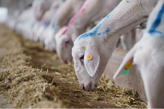 1622689684824747.png 微信图片_20210603110528.png