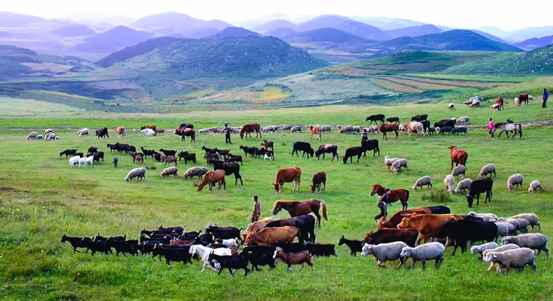 1622622751326266.jpg 1622622751326266.jpg