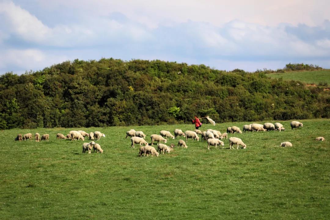 1622622779334873.jpg 1622622779334873.jpg