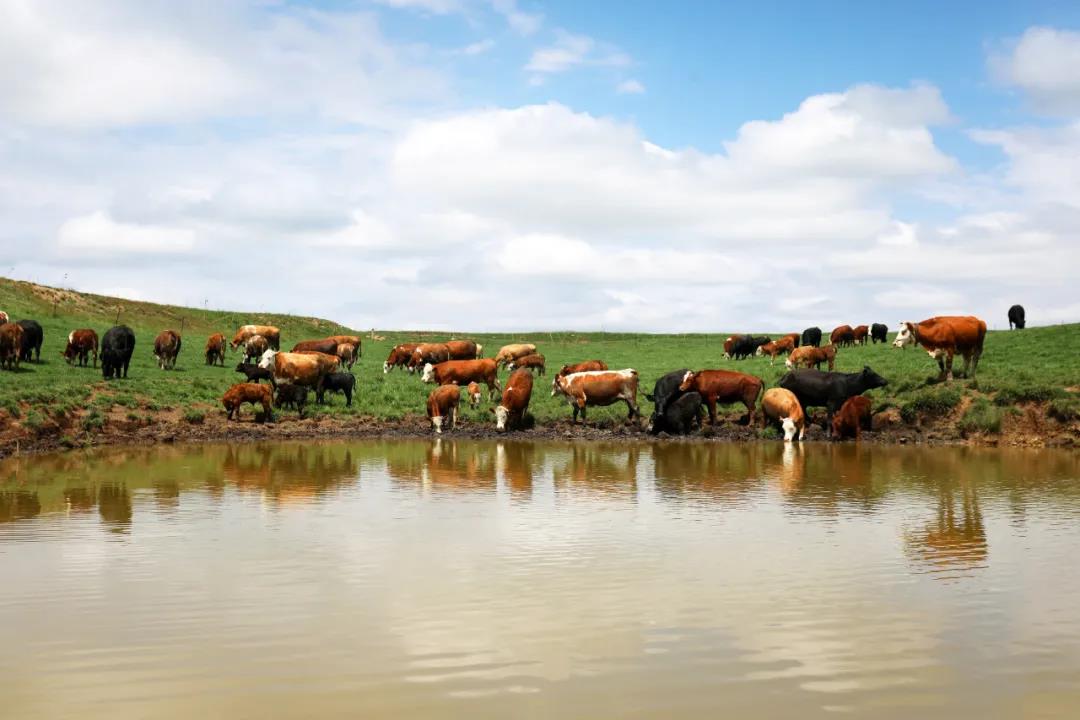 1622622814546890.jpg 1622622814546890.jpg