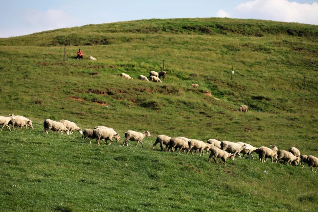 1622622942924494.jpg 1622622942924494.jpg