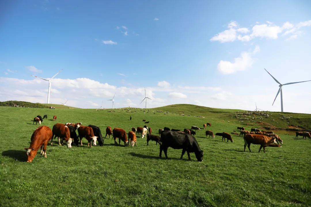 1622622999829996.jpg 1622622999829996.jpg