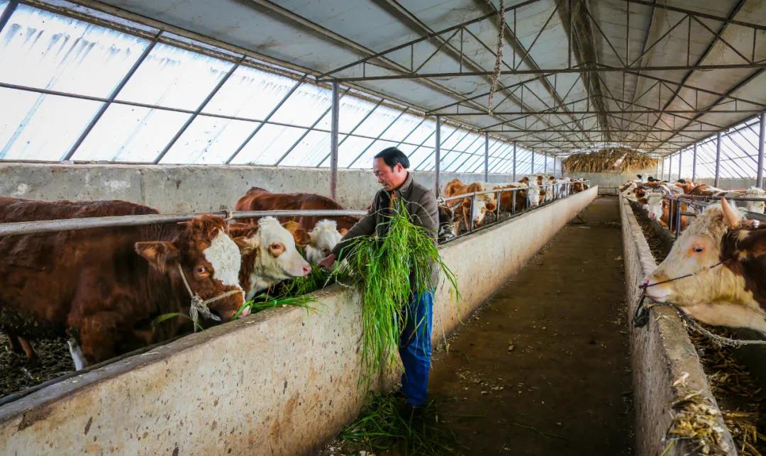 1622623037619227.jpg 1622623037619227.jpg