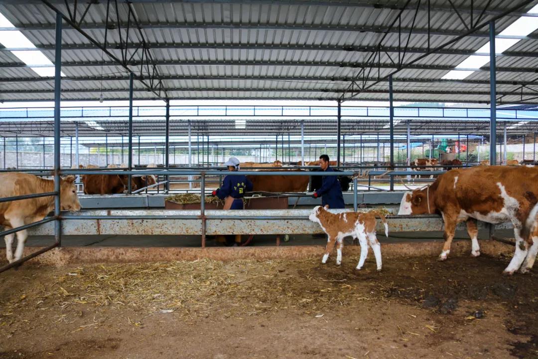 1622623061685496.jpg 1622623061685496.jpg