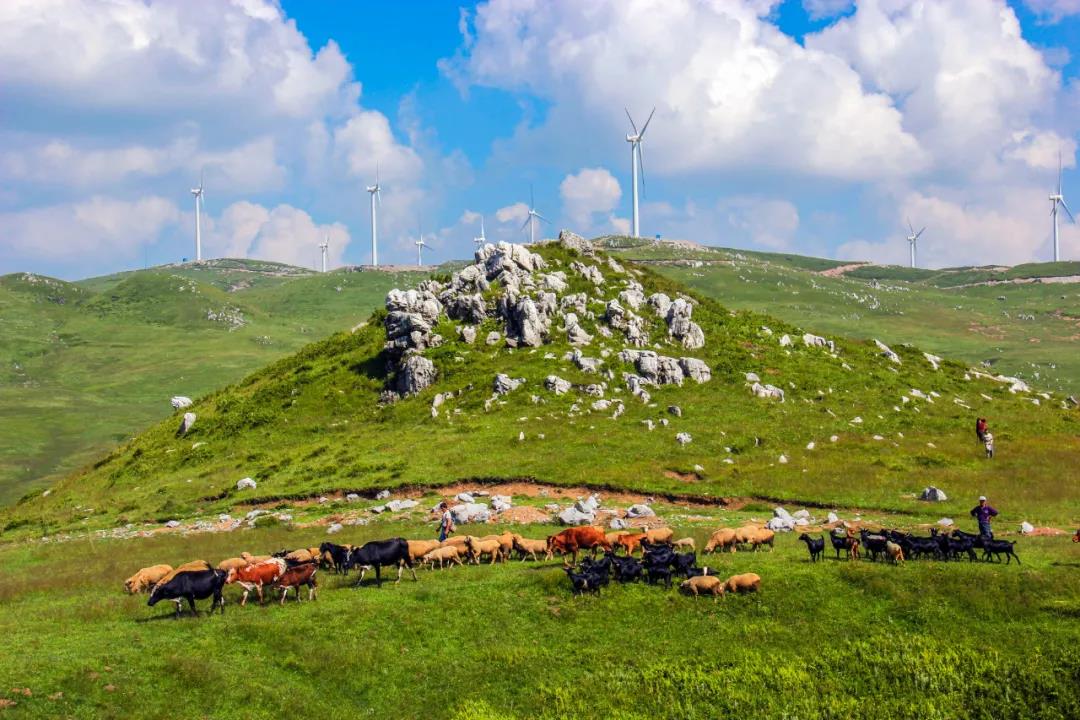 1622623225505580.jpg 1622623225505580.jpg