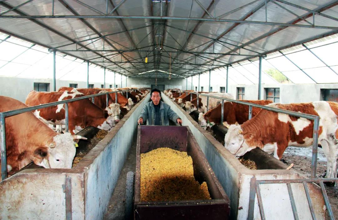 1622623245995755.jpg 1622623245995755.jpg