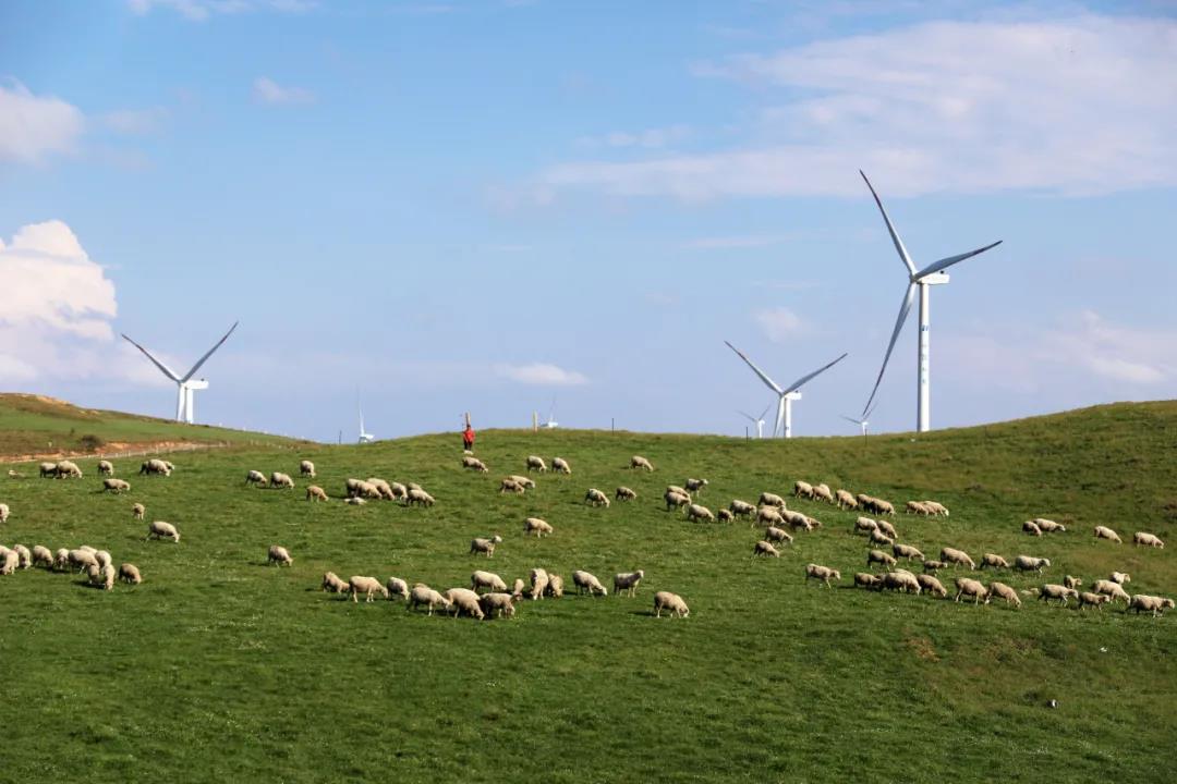 1622623265126229.jpg 1622623265126229.jpg