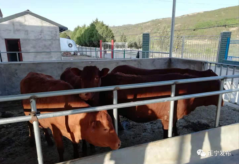 1623206095526063.png 1623206095526063.png