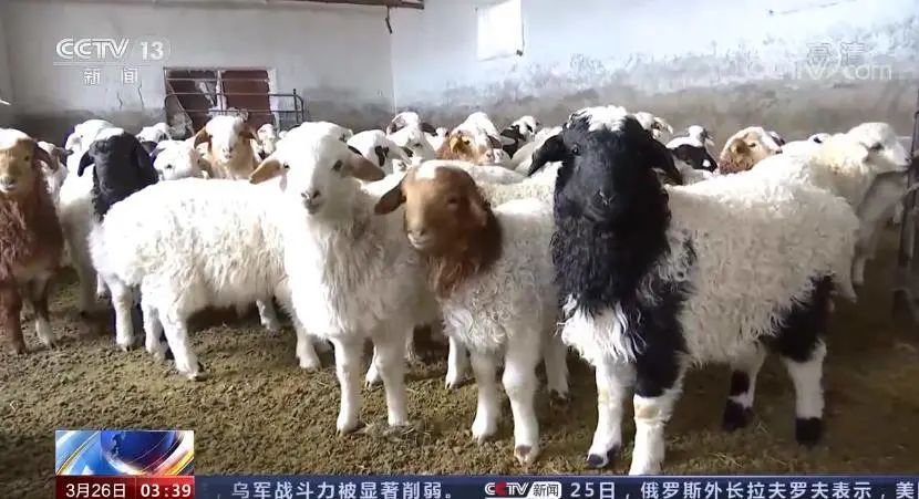 微信图片_20220329085549.jpg