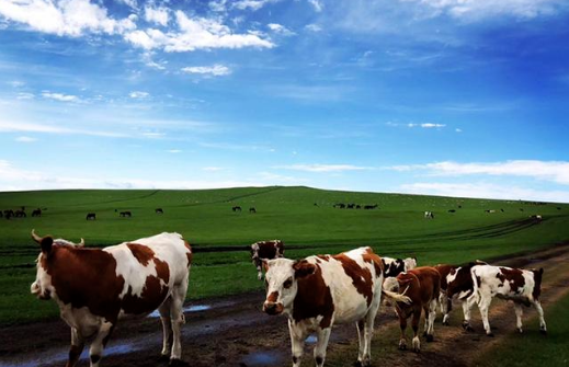 1703125936928668.jpg 1703125933482.jpg