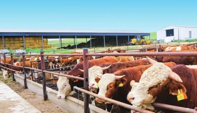 1704271407725085.png image.png