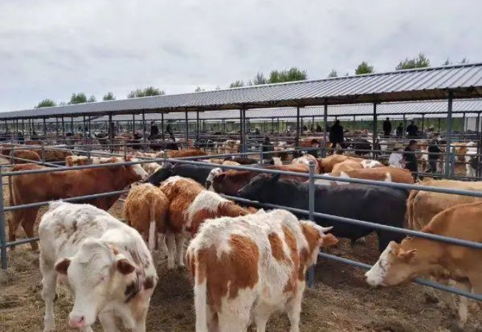 1704271417245367.png image.png