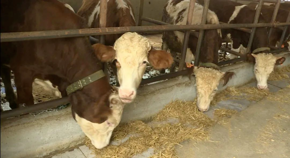 1704350094660925.png image.png