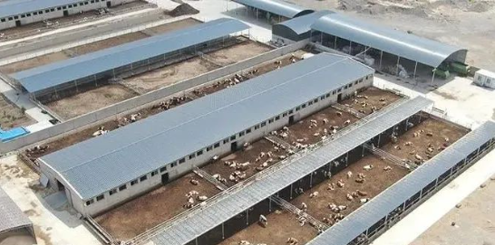 1704785997167436.png image.png